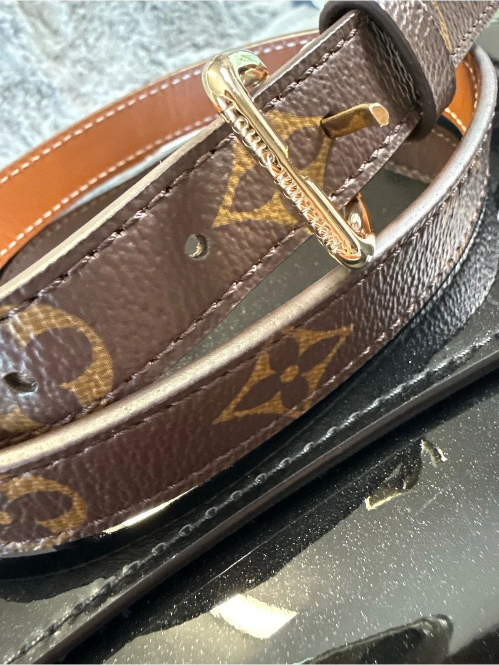 Louis Vuitton chic statement